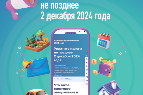 Уплатите имущественные налоги и НДФЛ* не позднее 2 декабря 2024 года.